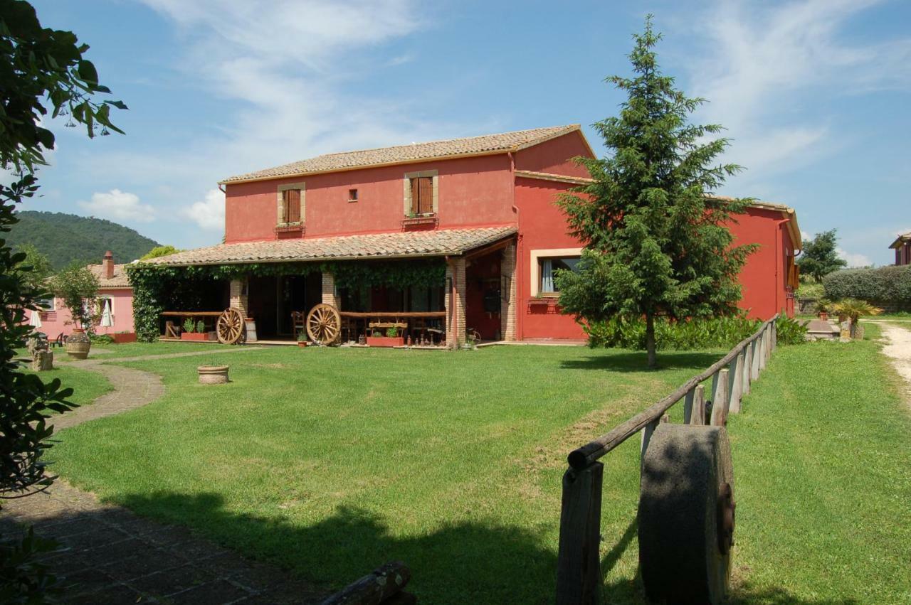 Ischia di Castro Agriturismo Castro 빌라 외부 사진