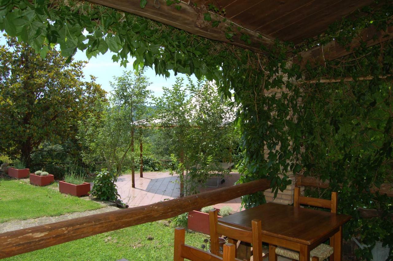 Ischia di Castro Agriturismo Castro 빌라 외부 사진