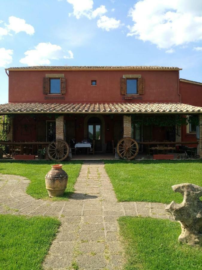 Ischia di Castro Agriturismo Castro 빌라 외부 사진